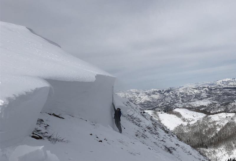 avalanche crown