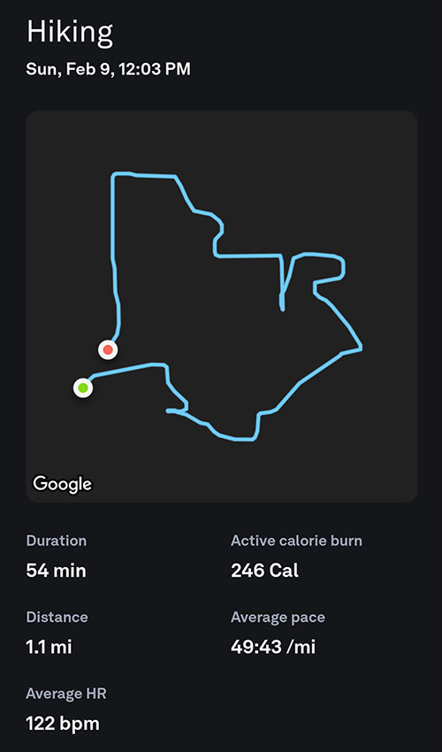 sidequest stats from oura