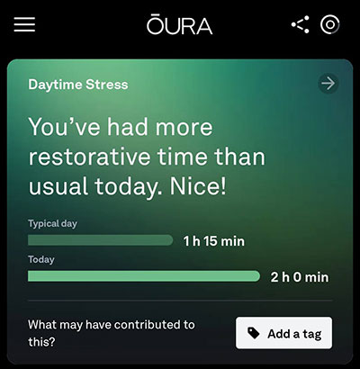 oura daytime stress notice