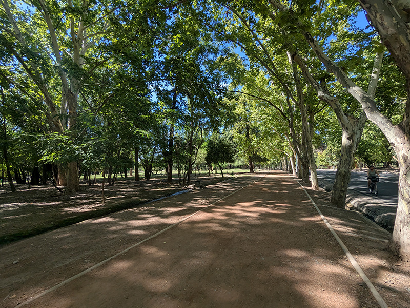 san martin park