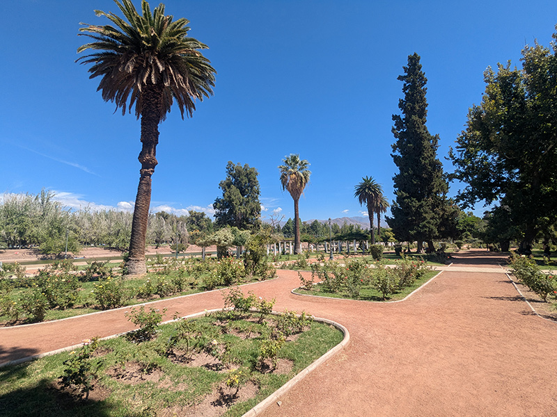 san martin rose garden