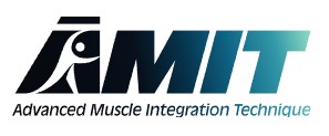 amit logo