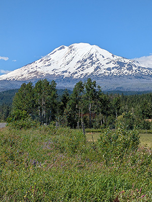 view of mt adams from trout lake washington